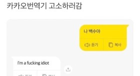 카카오번역기 고소하러감!!