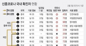 신종코로나 국내 확진자 현황