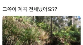 흔치않은 계곡의 주인