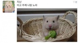 이고 주께 나랑 노라