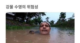 강물 수영의 위험성