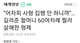 길러준 할머니 60여차례 찔러 살해한 형제