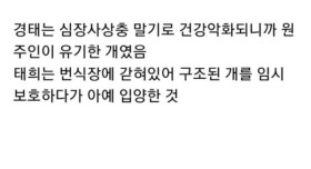 택배견 경태에 대해 잘 알려지지 않은 이야기