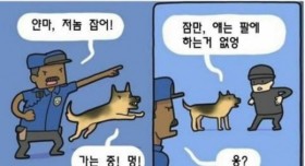 실제로 꽤 흔하다는 경찰견 해고 사유