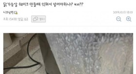 헬스갤러리 들짐승